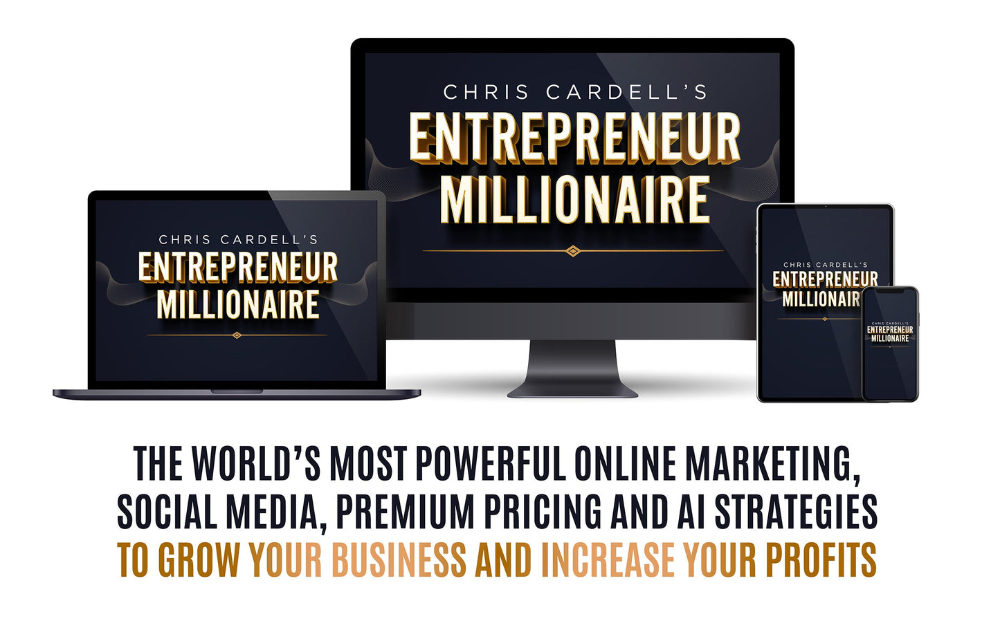 Entrepreneur Millionaire